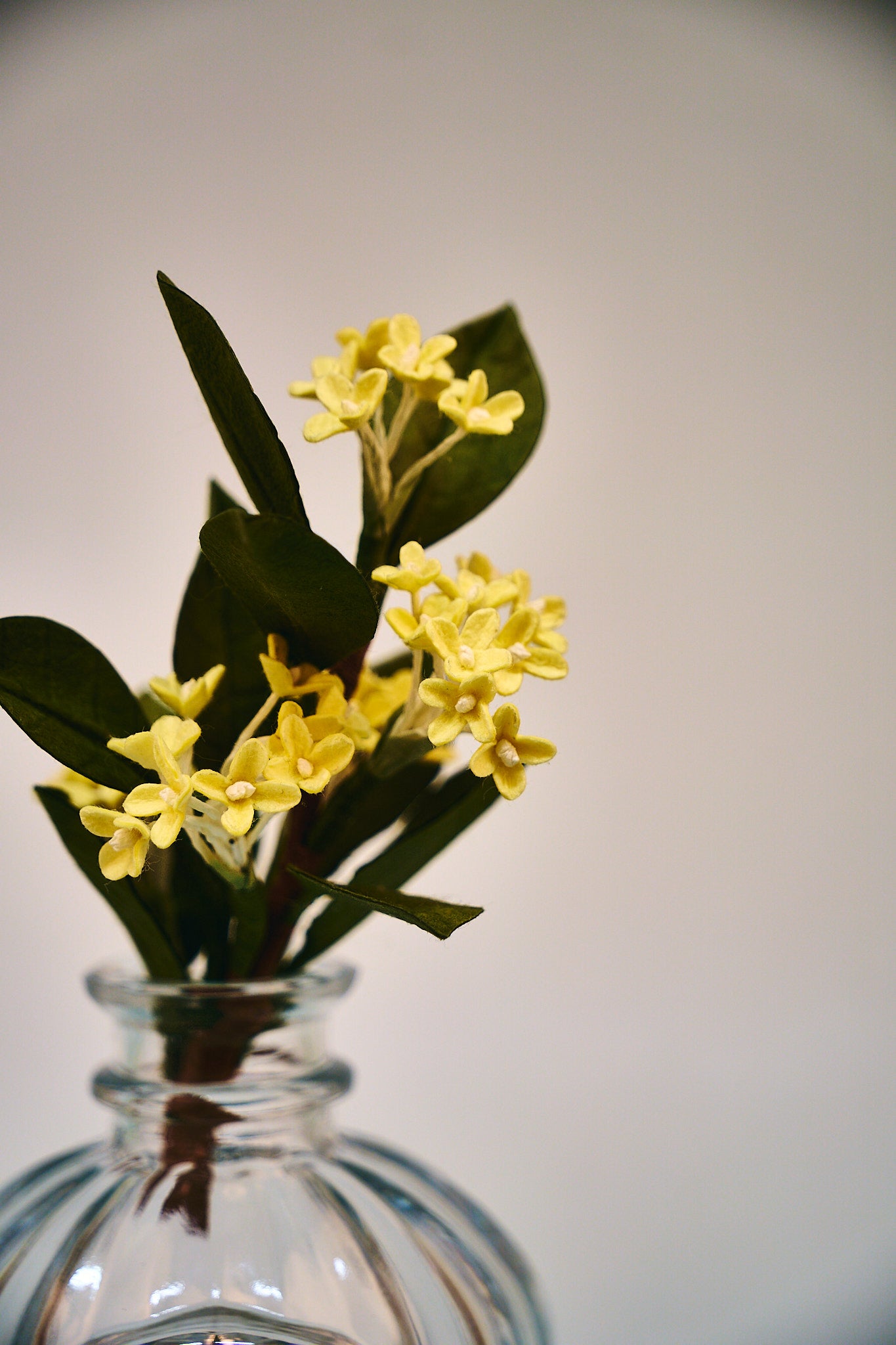 Handgefertigter Osmanthus-Diffusor