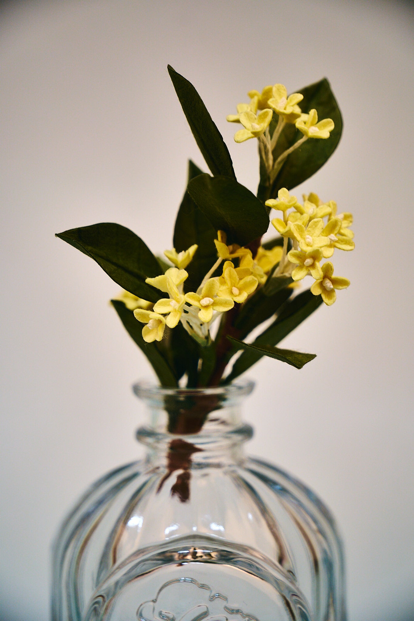 Handgefertigter Osmanthus-Diffusor