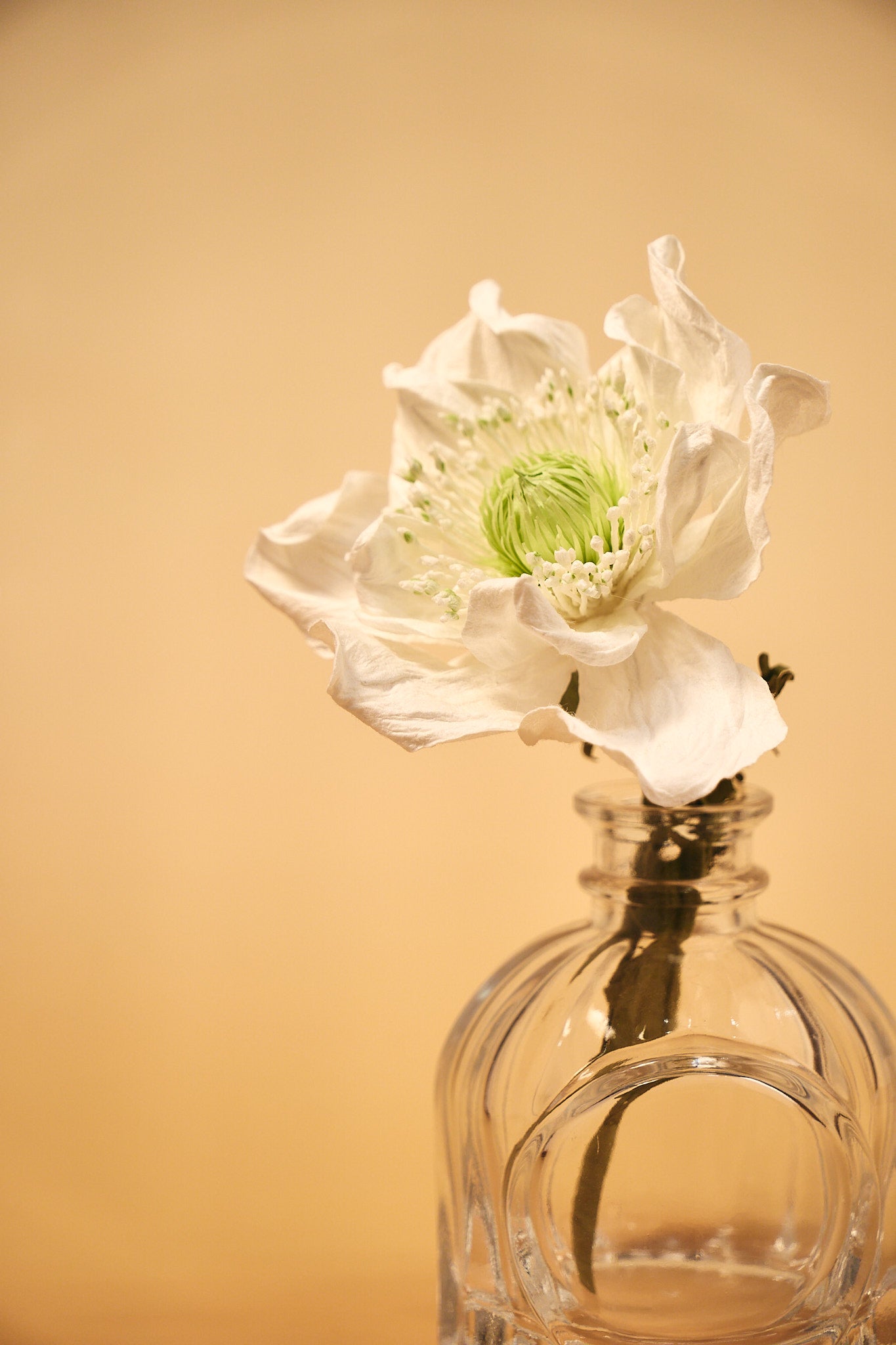 Handmade Corn Poppy Diffuser