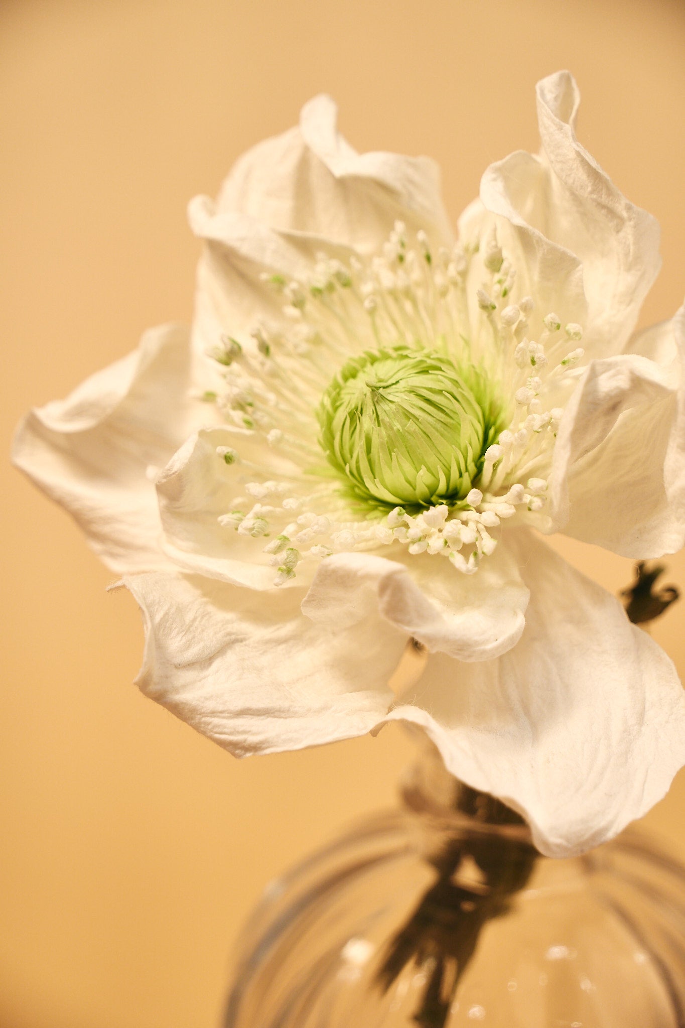 Handgefertigter Klatschmohn-Diffusor 