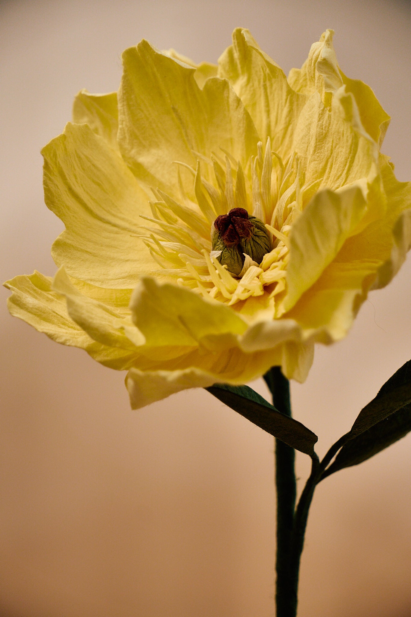 Handmade Peony “Going Bananas“ Diffuser