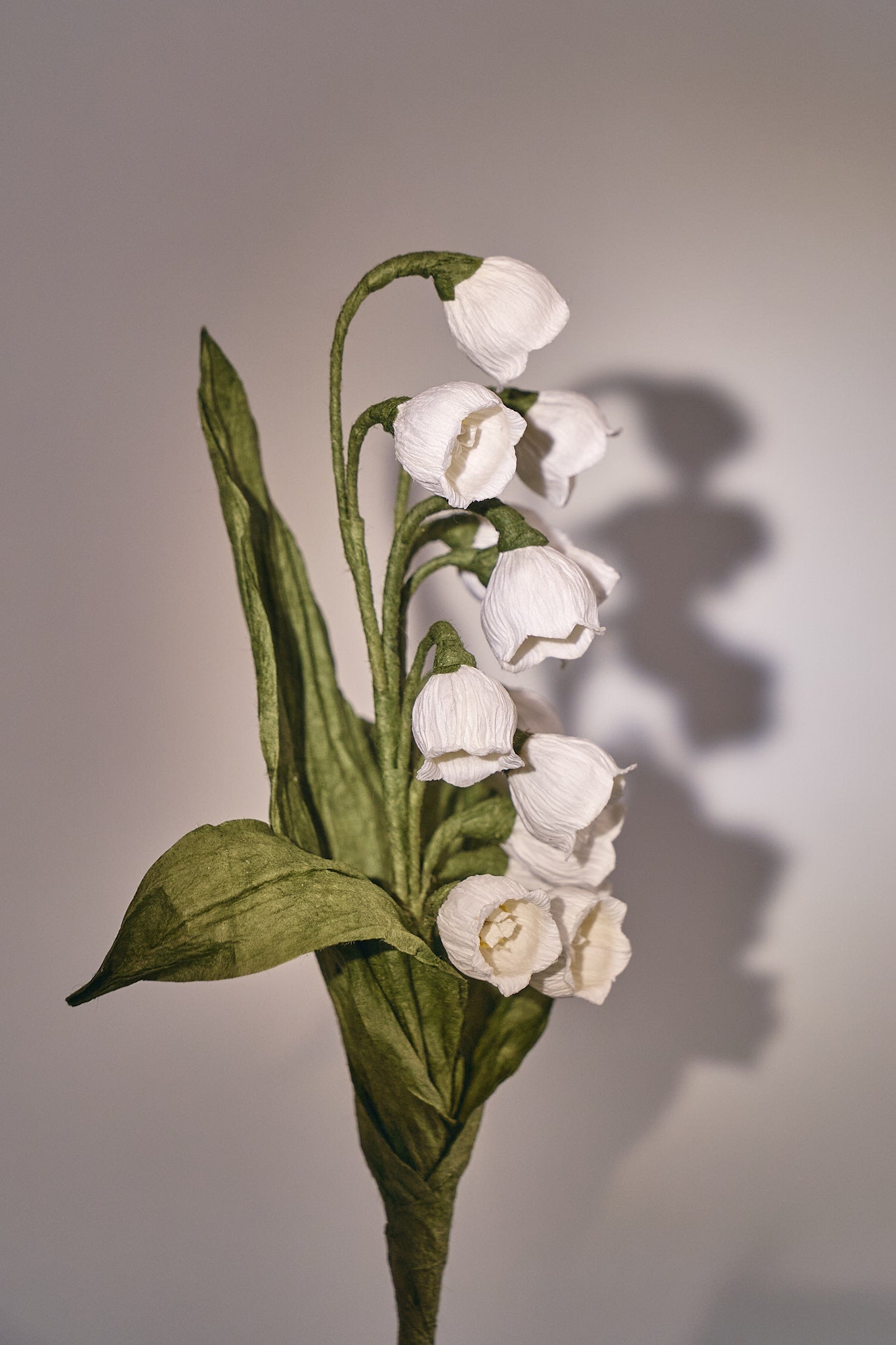 Lily of the valley - May Birthday